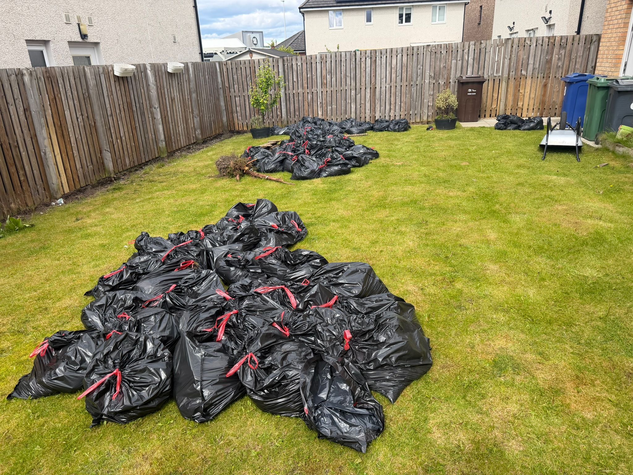 Garden Clearance - Renfrew 
